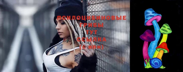 прущие крисы Бронницы