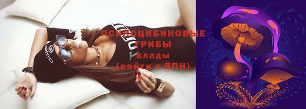 МДМА Бородино