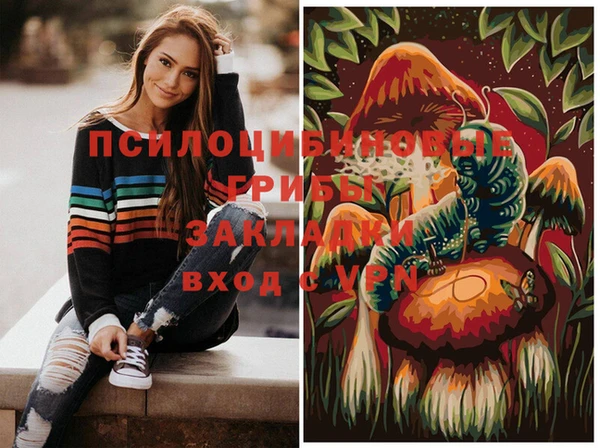 прущие крисы Бронницы