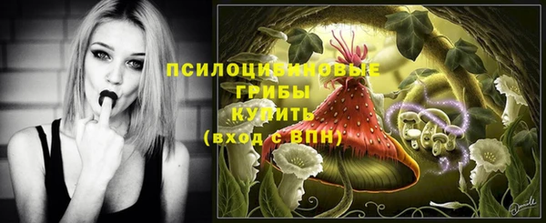 прущие крисы Бронницы