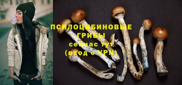 трава Бугульма