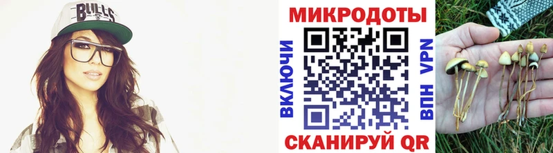 сайты даркнета официальный сайт  Раменское  Псилоцибиновые грибы MAGIC MUSHROOMS 